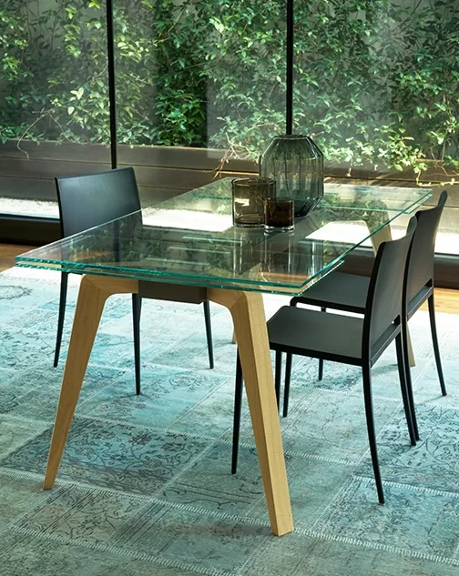 MOTUS 3444-6638 EUR